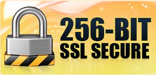 256 Bit SSL Security