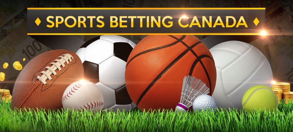 Best Sportsbooks and Boxing Betting Options for Canadian Online Players